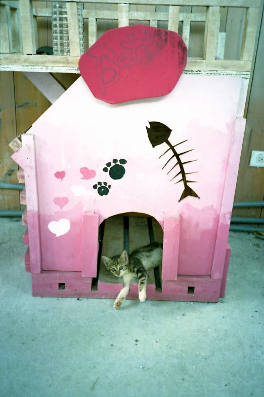 a cat stands inside of a pink cat house that has hearts on it