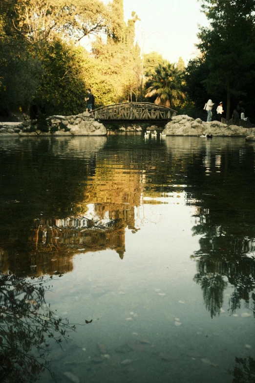 a pond surrounded by rocks and trees next to a park bench