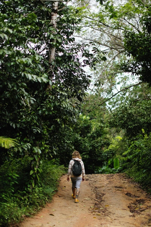 a person walking through the jungle with a backpack