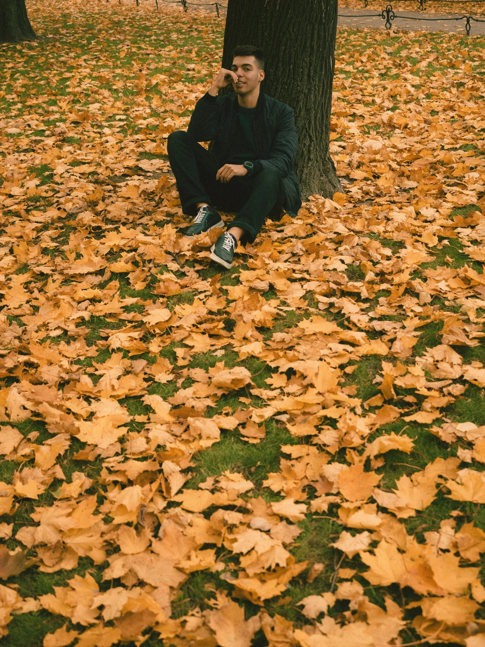 a man sits on a patch of grass beneath a tree