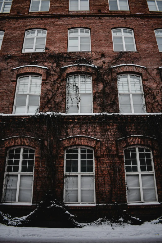 some very tall brick buildings with windows on the front