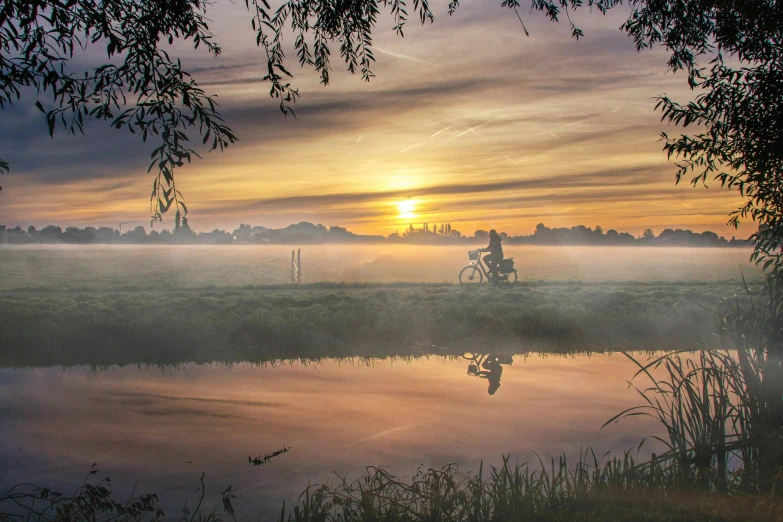 a foggy field with some trees, grass and water