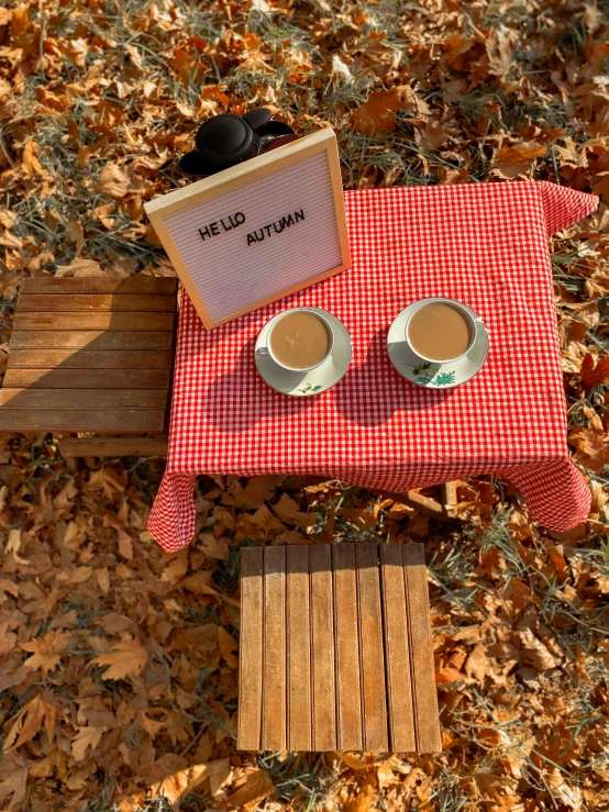 two cups of coffee sit on a picnic table