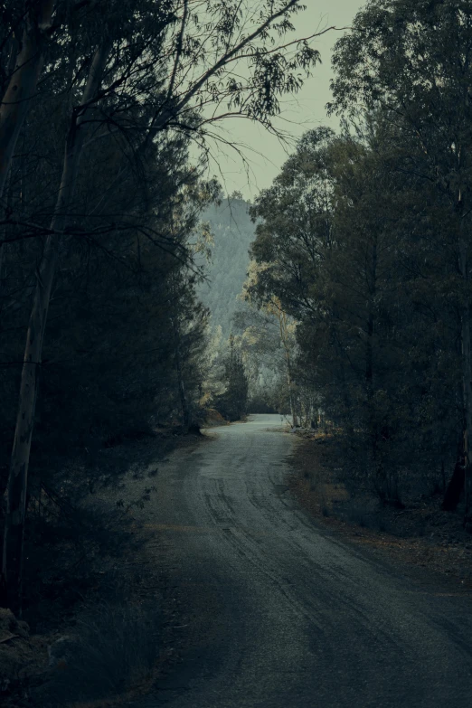 a very narrow and uncoved road in the middle of the night