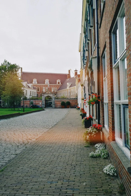 bricked and stoned sidewalk near many residential buildings