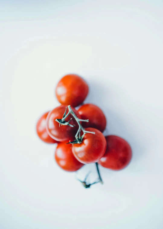 small tomatos sit on top of each other