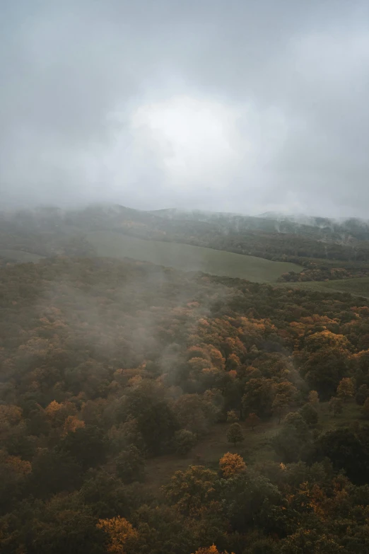 fog is rolling over the land of the countryside