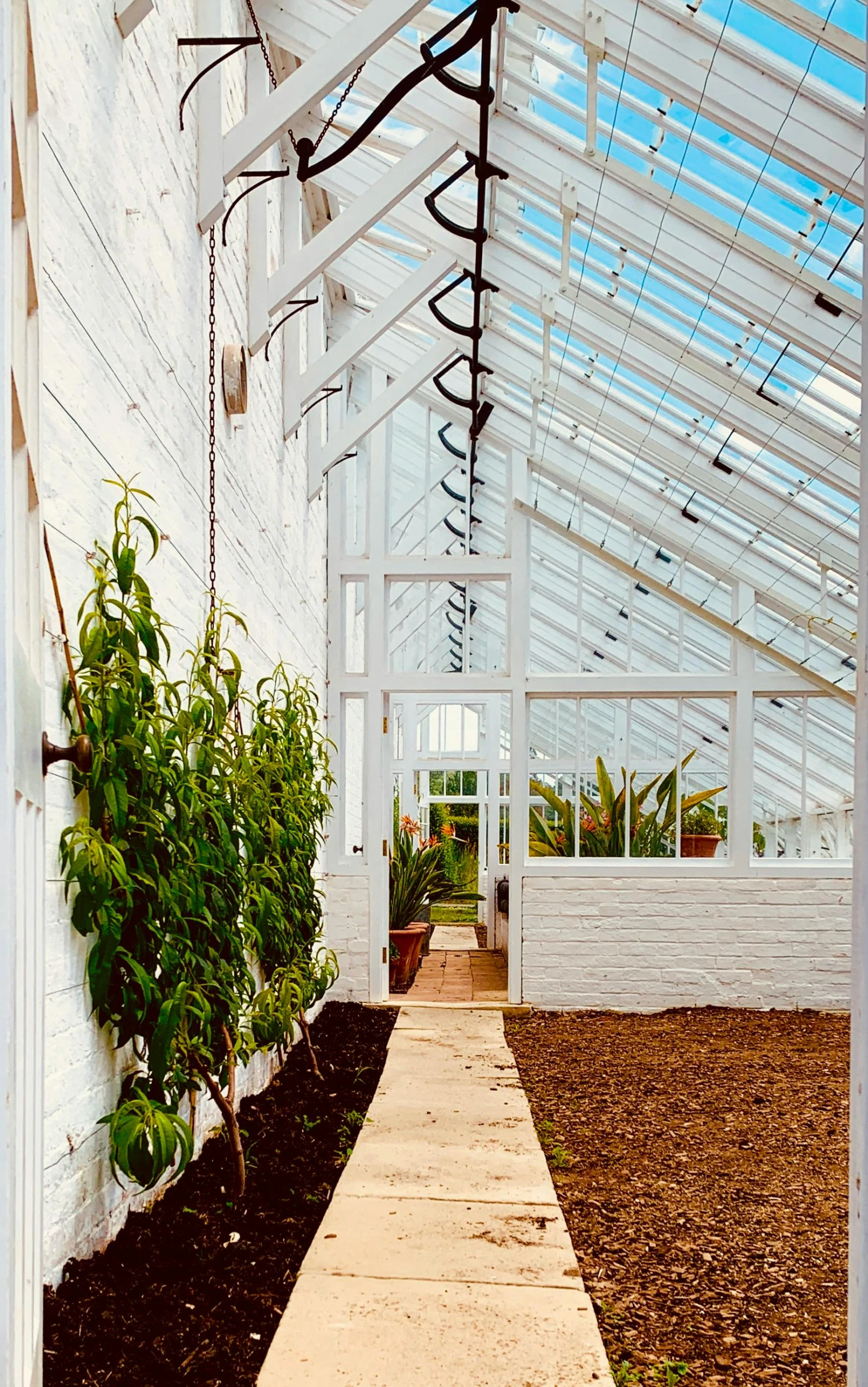 a pathway leading to a very long greenhouse