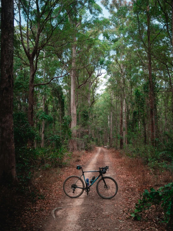 a bicycle parked along a path through the woods