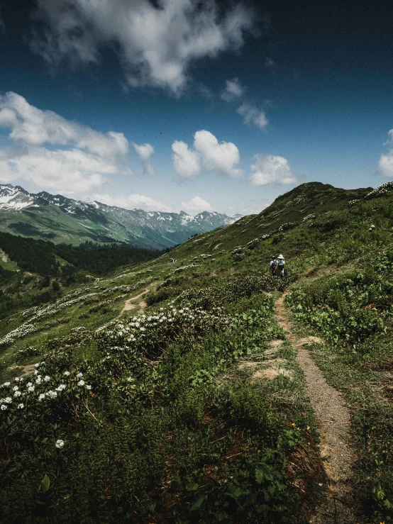 a hiking trail ascending a grassy hill under a cloudy sky