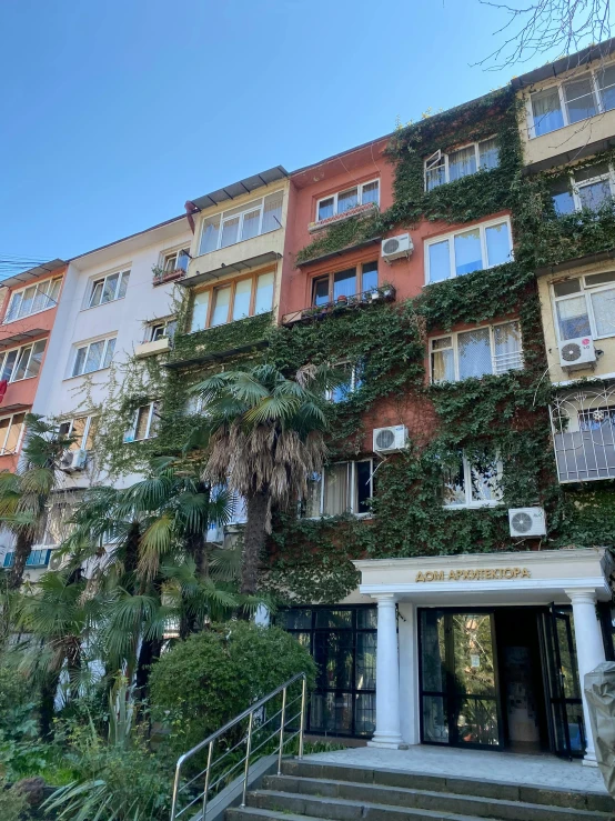 ivy covered apartment building with staircase and steps