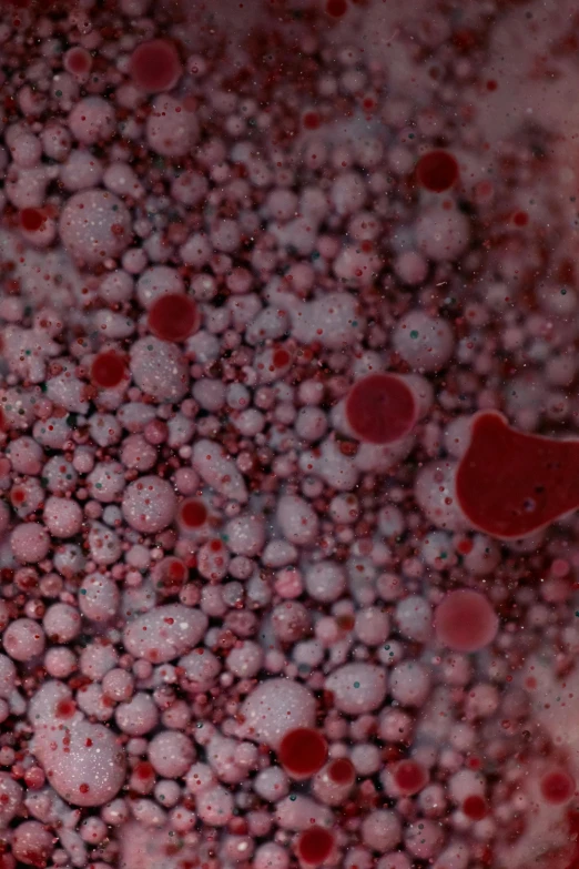 small circles of small red bubbles floating in liquid