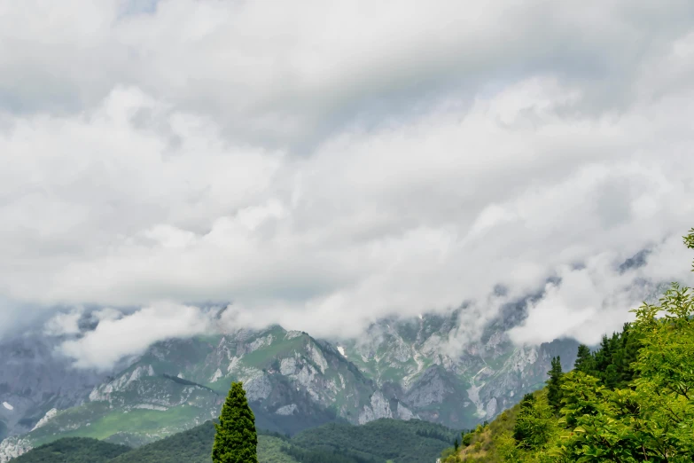 the view shows mountains and forests with trees and clouds