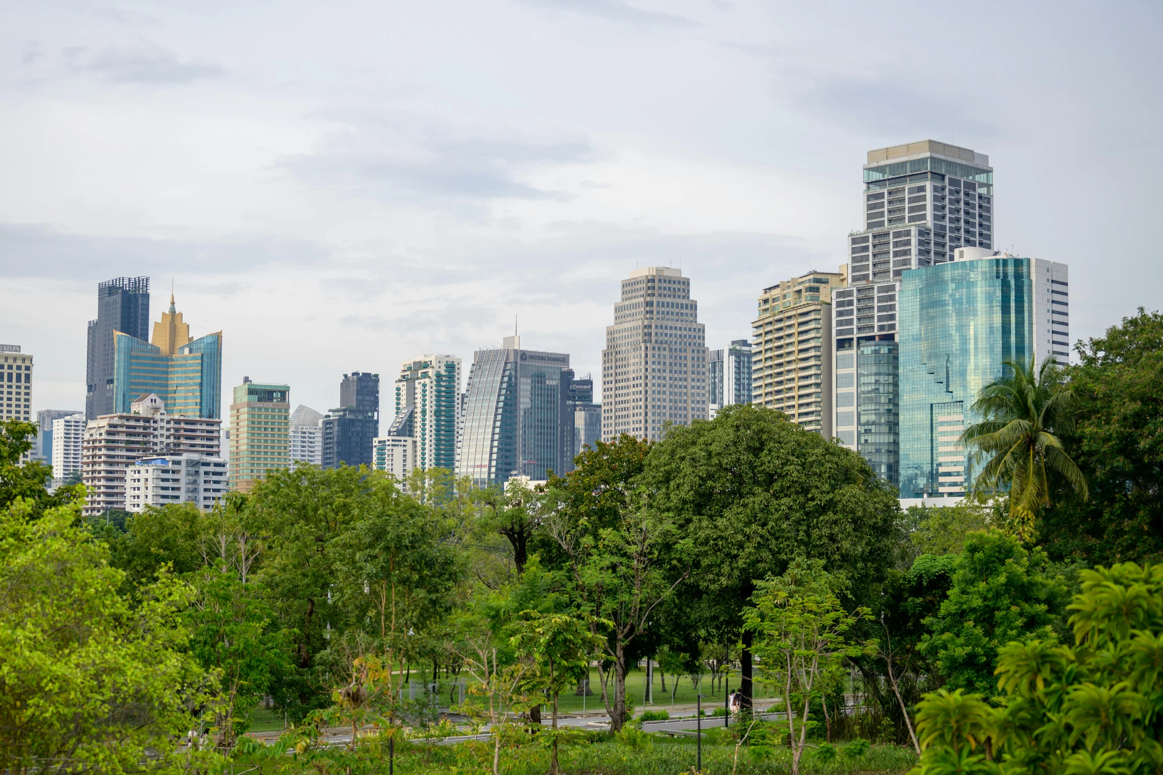 trees and buildings in the middle of a city