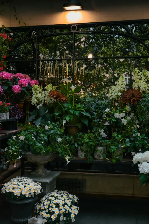 a shop that has flower shops in all kinds of places