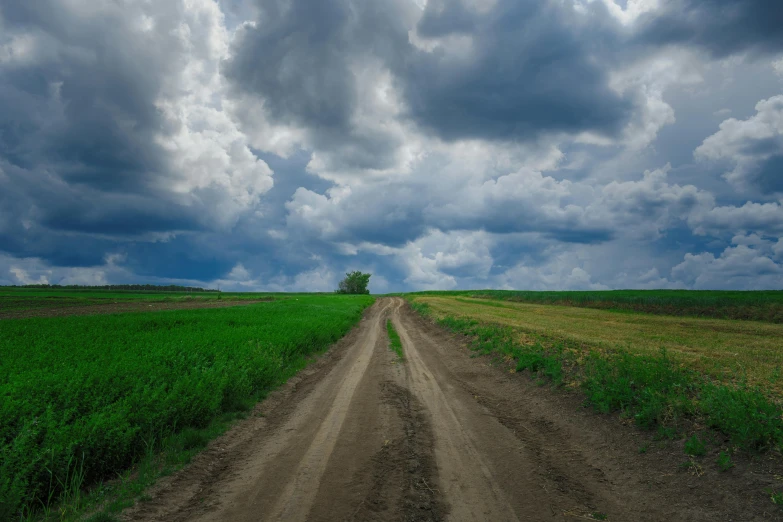 a dirt road through a large grass field