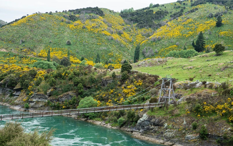 an suspension bridge in the mountains near some water