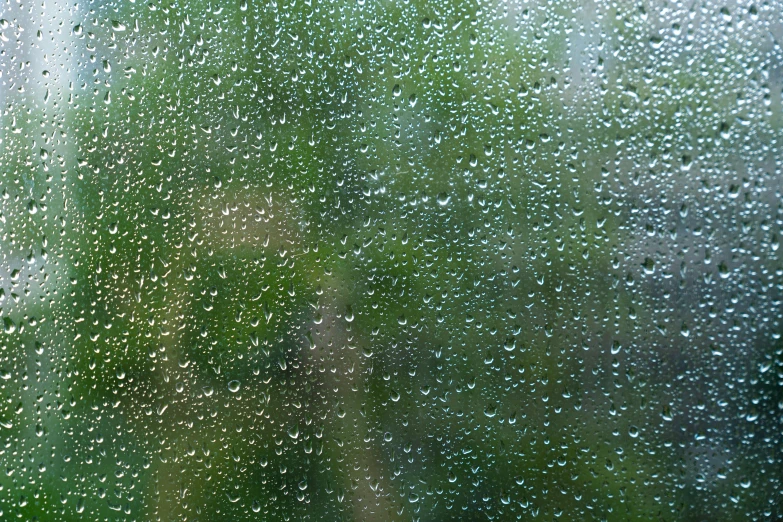 rain drops on the window glass with the green background