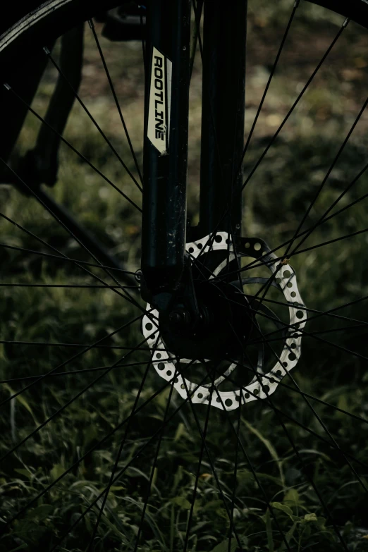 the spokes on the rear of a bicycle are clearly visible