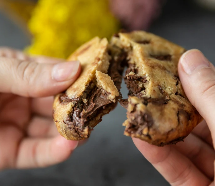 a close up of a person holding a chocolate chip cookie