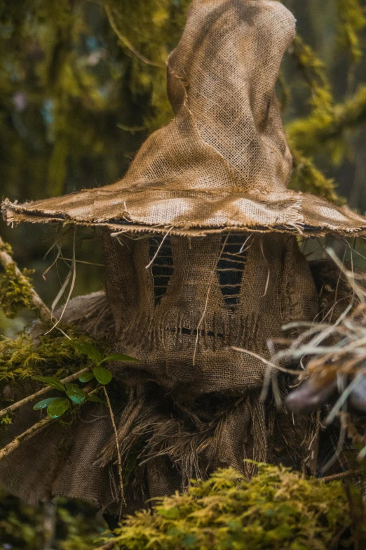 a picture of some kind of house that is on a tree