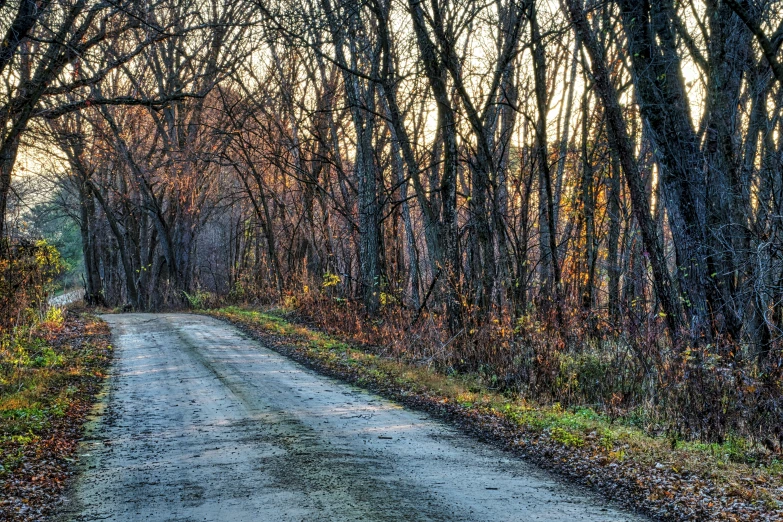 an image of a country road with trees and grass