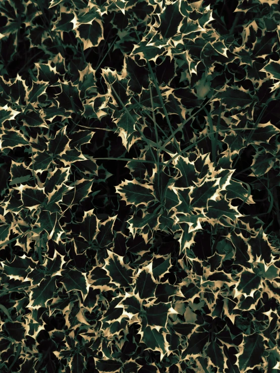 a very dark abstract pattern with some green leaves