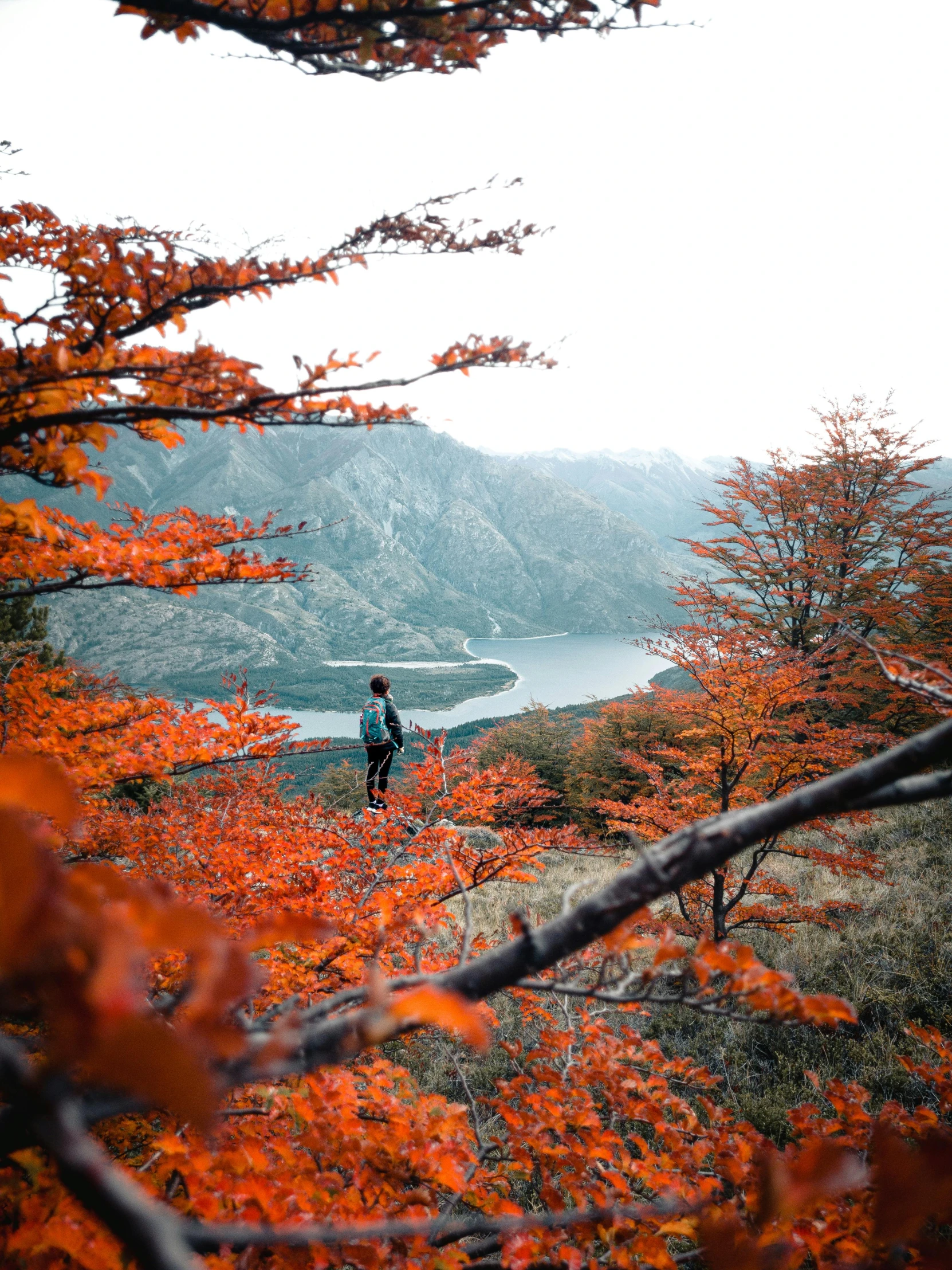 a woman standing on a rocky trail with autumn foliage