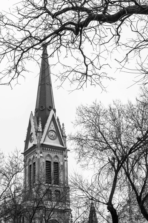the steeple of the cathedral looks almost hidden through the trees