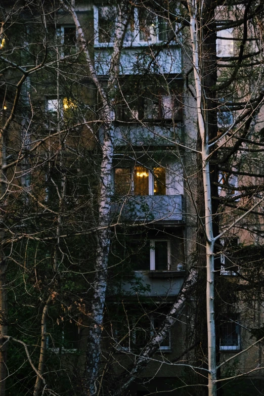 an apartment building with lights and bare trees
