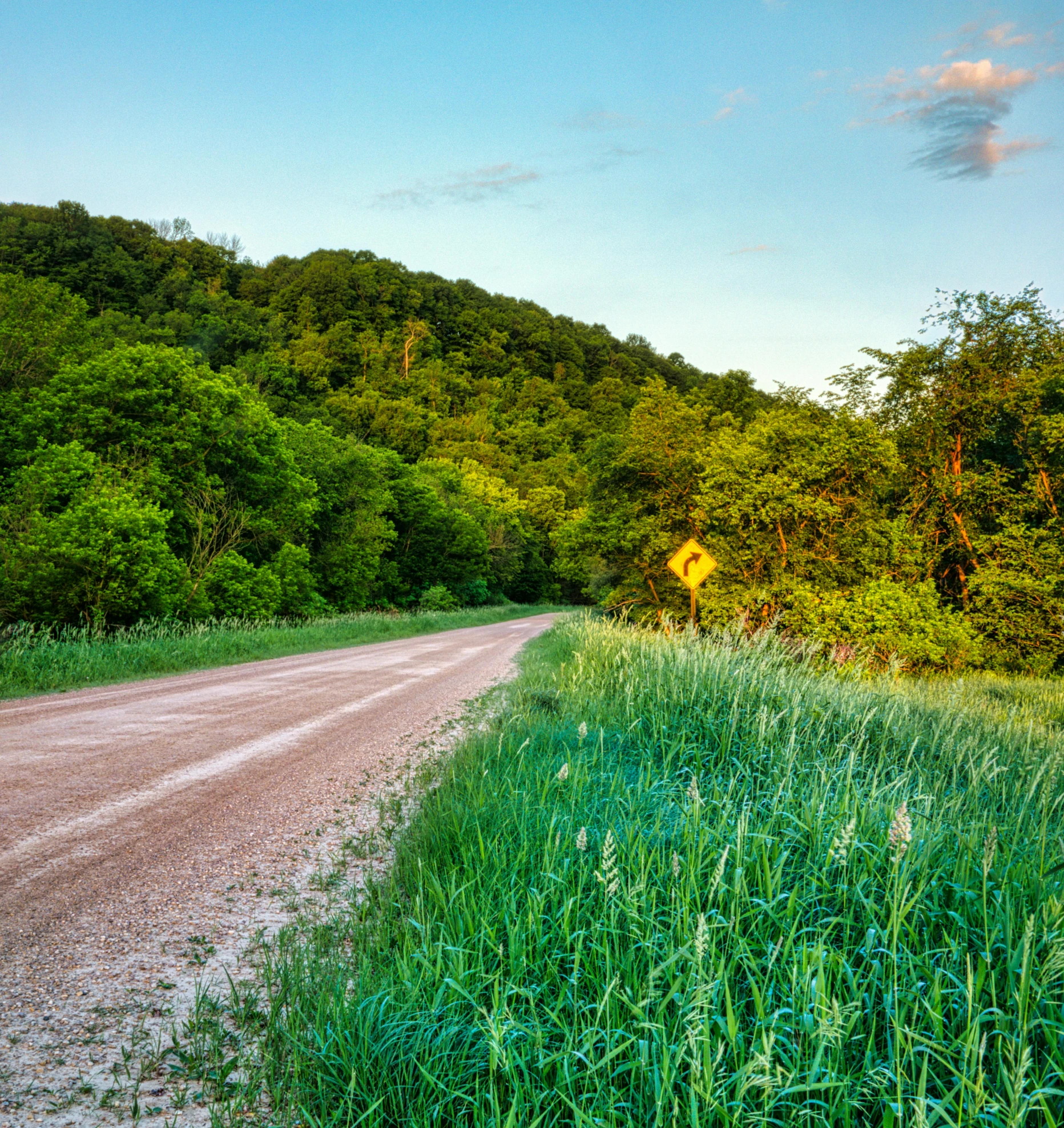 a gravel road beside the forest with green trees and bushes