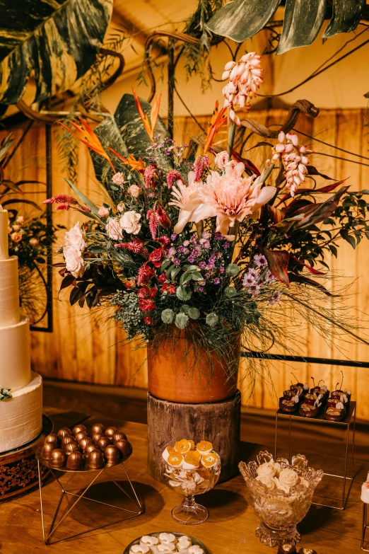 a potted plant on a table with many other items