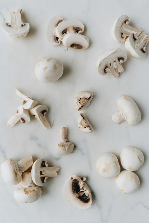 this is a collection of mushrooms on a marble slab