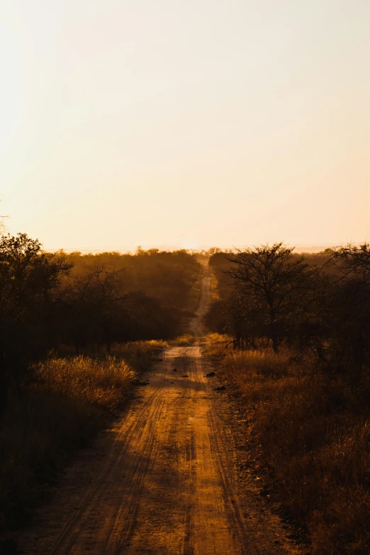 a sun is shining on a dirt road