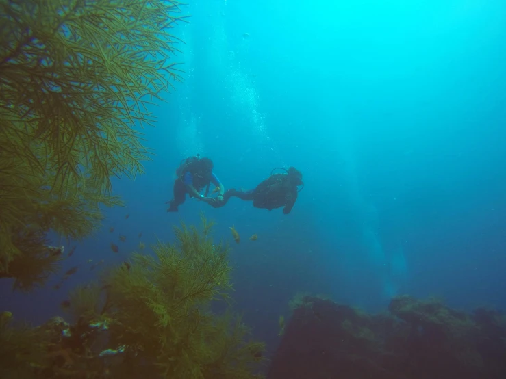two scuba enthusiasts swimming in the deep ocean