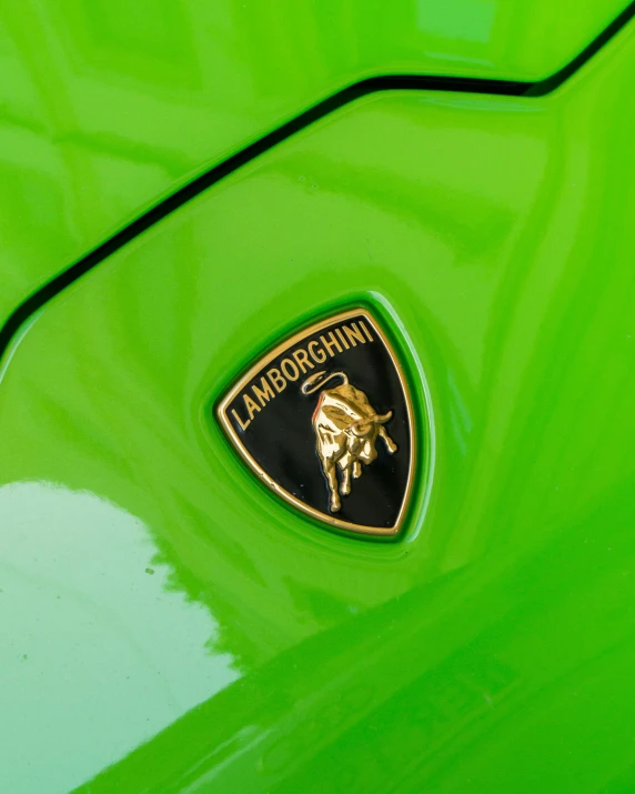 an image of a lamb emblem on a green car