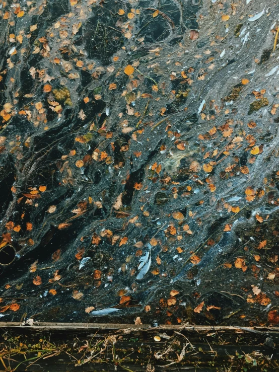 a brown and black marble covered with orange leaves