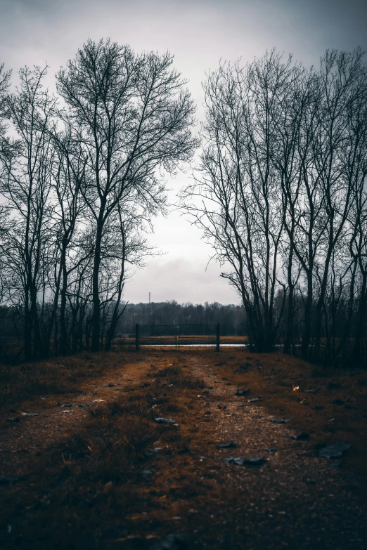 an empty dirt road with trees in the background