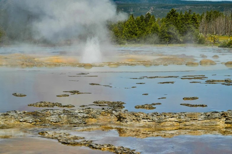 a geyser spewing water into a lake surrounded by trees