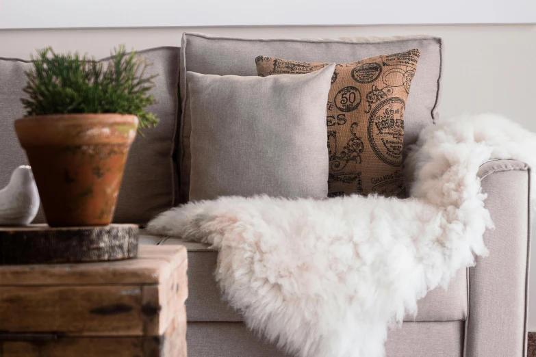 an alpaco sitting on top of a gray couch next to two brown containers