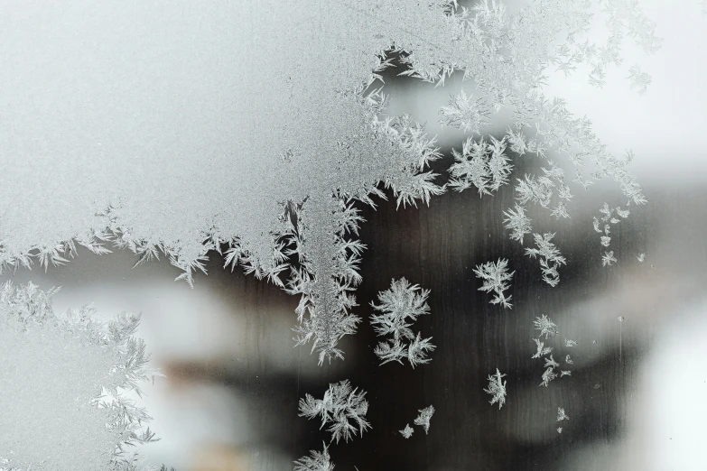 the inside of a window filled with ice