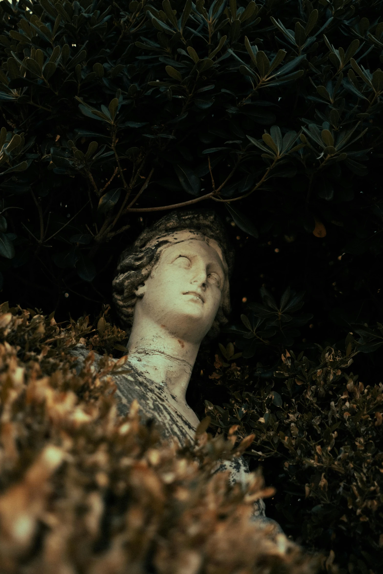 a statue of a woman laying in some bushes