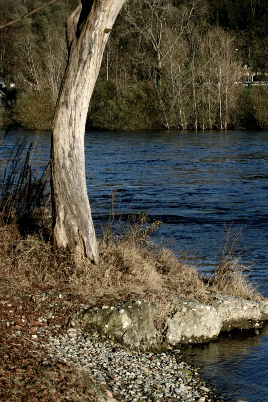 the view from near the shore of a river