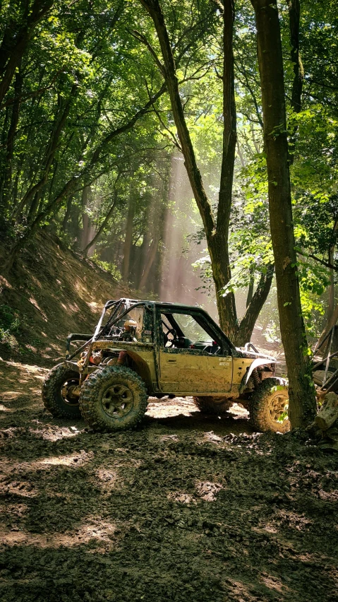 a jeep drives through the woods with sunlight beaming through the trees