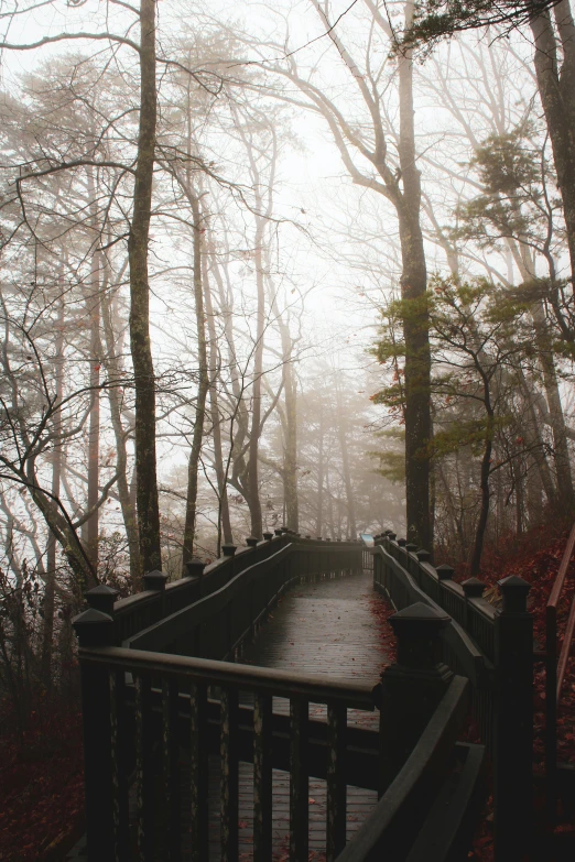 a wooden walkway in front of some trees