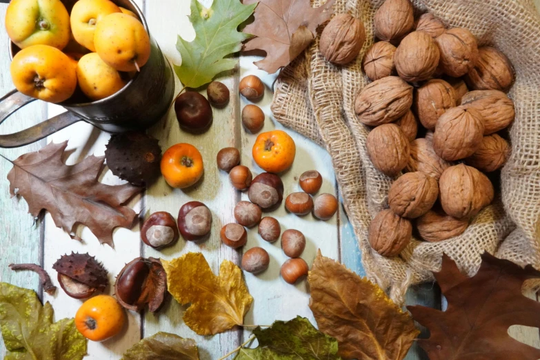 various autumn vegetables and leaves are placed next to each other