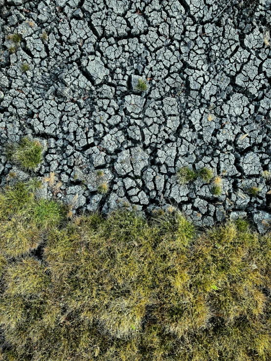 the dirt is being ed and dirted into some green vegetation