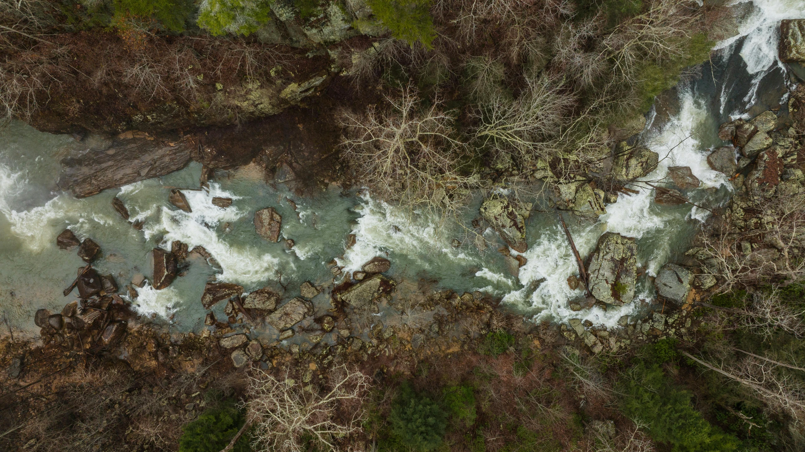 the aerial view of a river with waves and trees