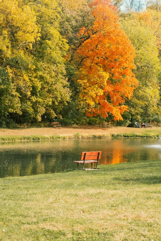 an empty park bench sitting next to a small pond