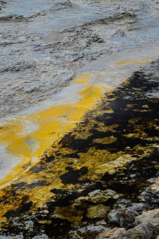 an ocean of yellow and gray rocks by the water